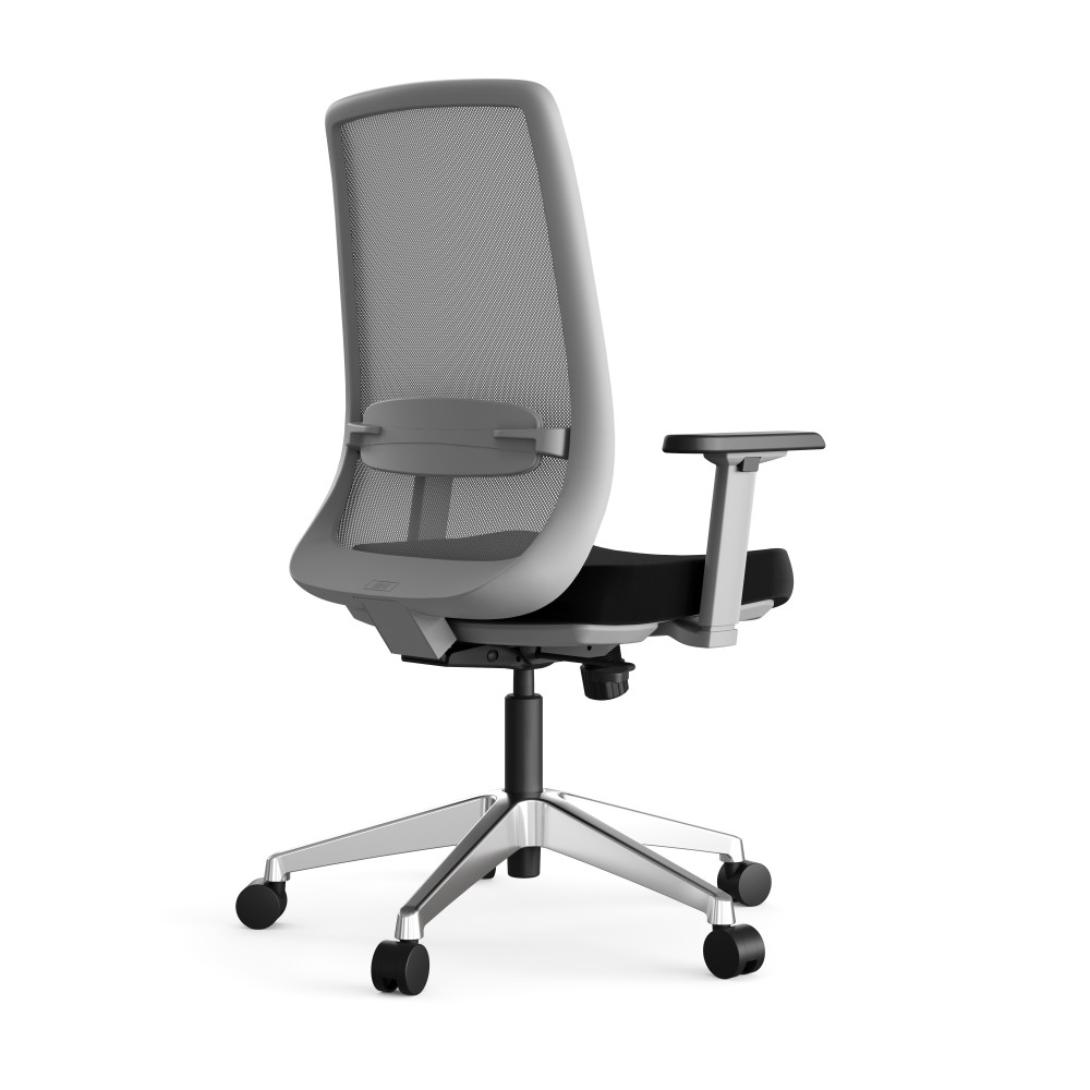 Fluence ergonomic task chair