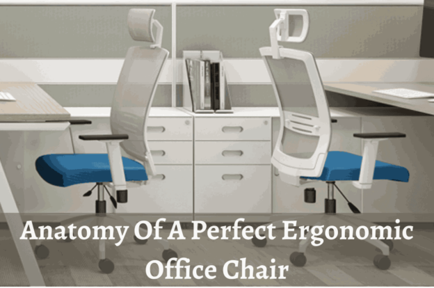 Anatomy Of A Perfect Ergonomic Office Chair